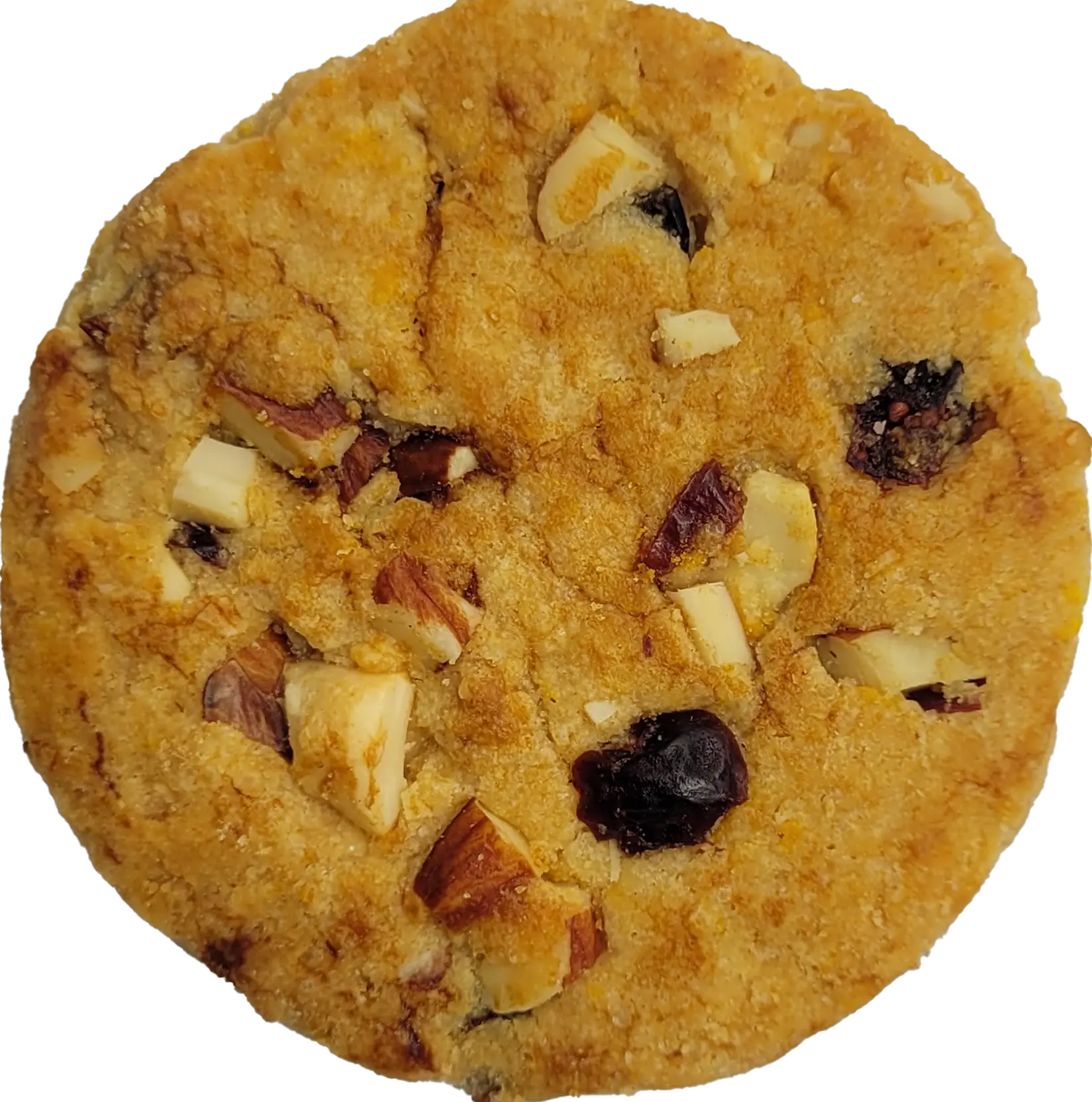 cookie image